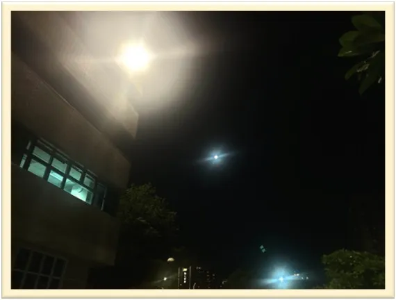 Cover Image of the Post